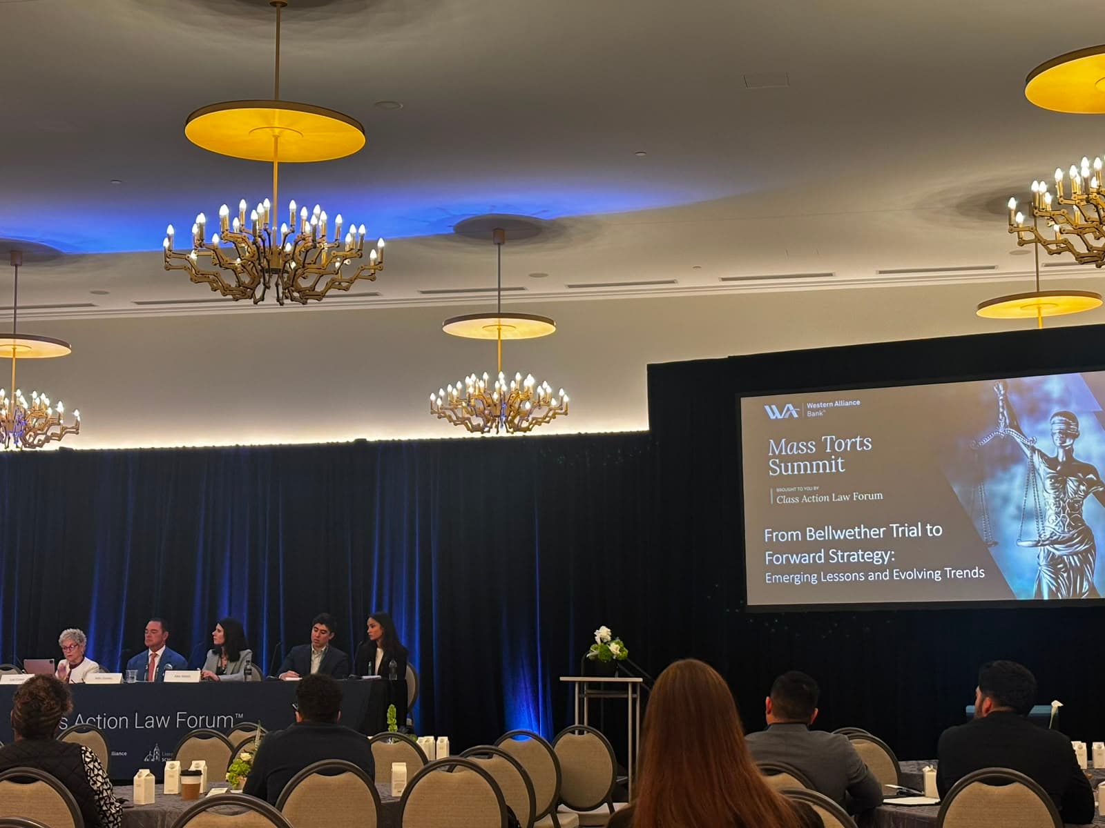 A Mass Torts Summit panel, From Bellwether Trial to Forward Strategy